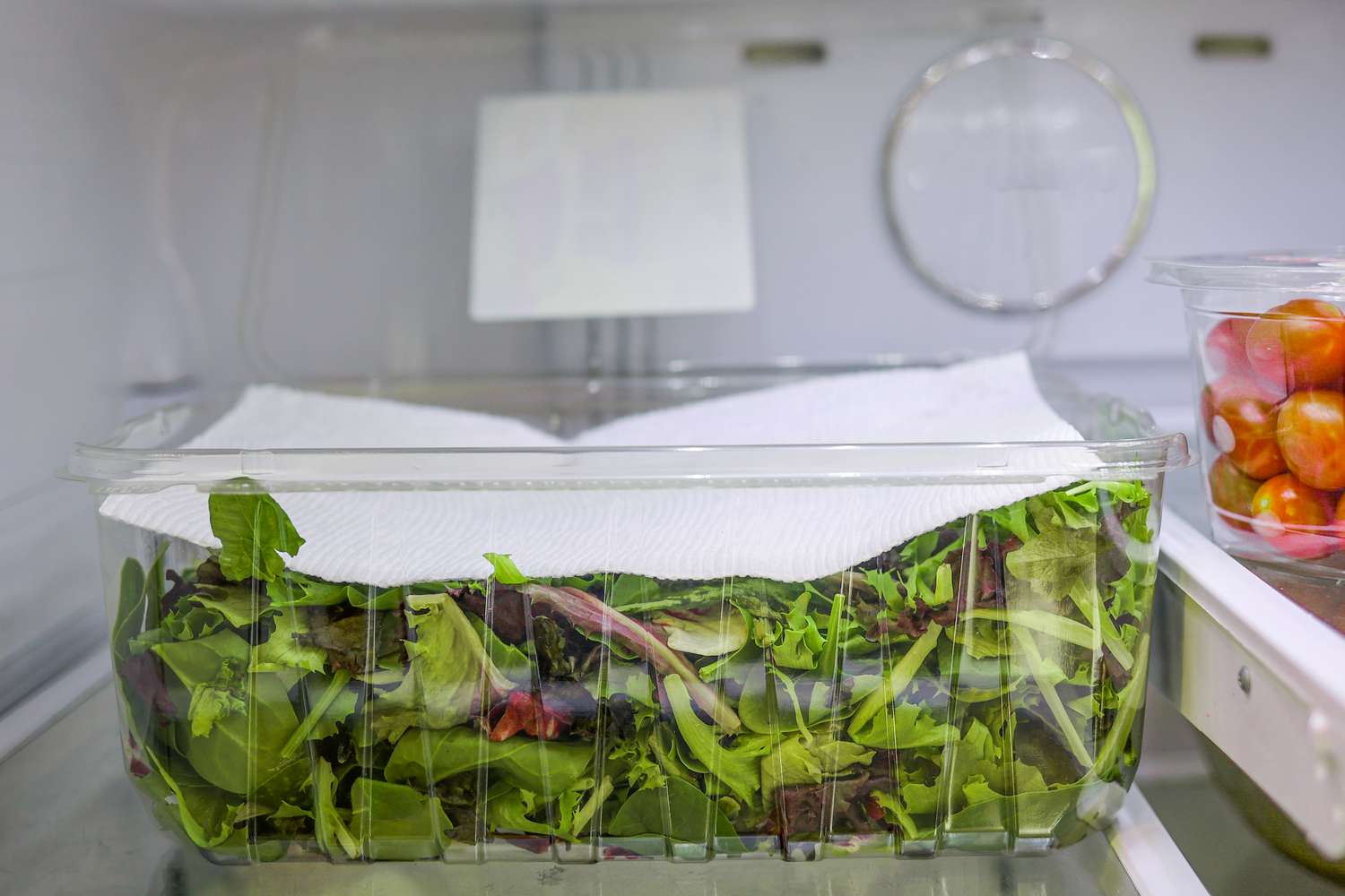 A clear airtight container filled with mixed salad greens layered over a paper towel on a kitchen counter