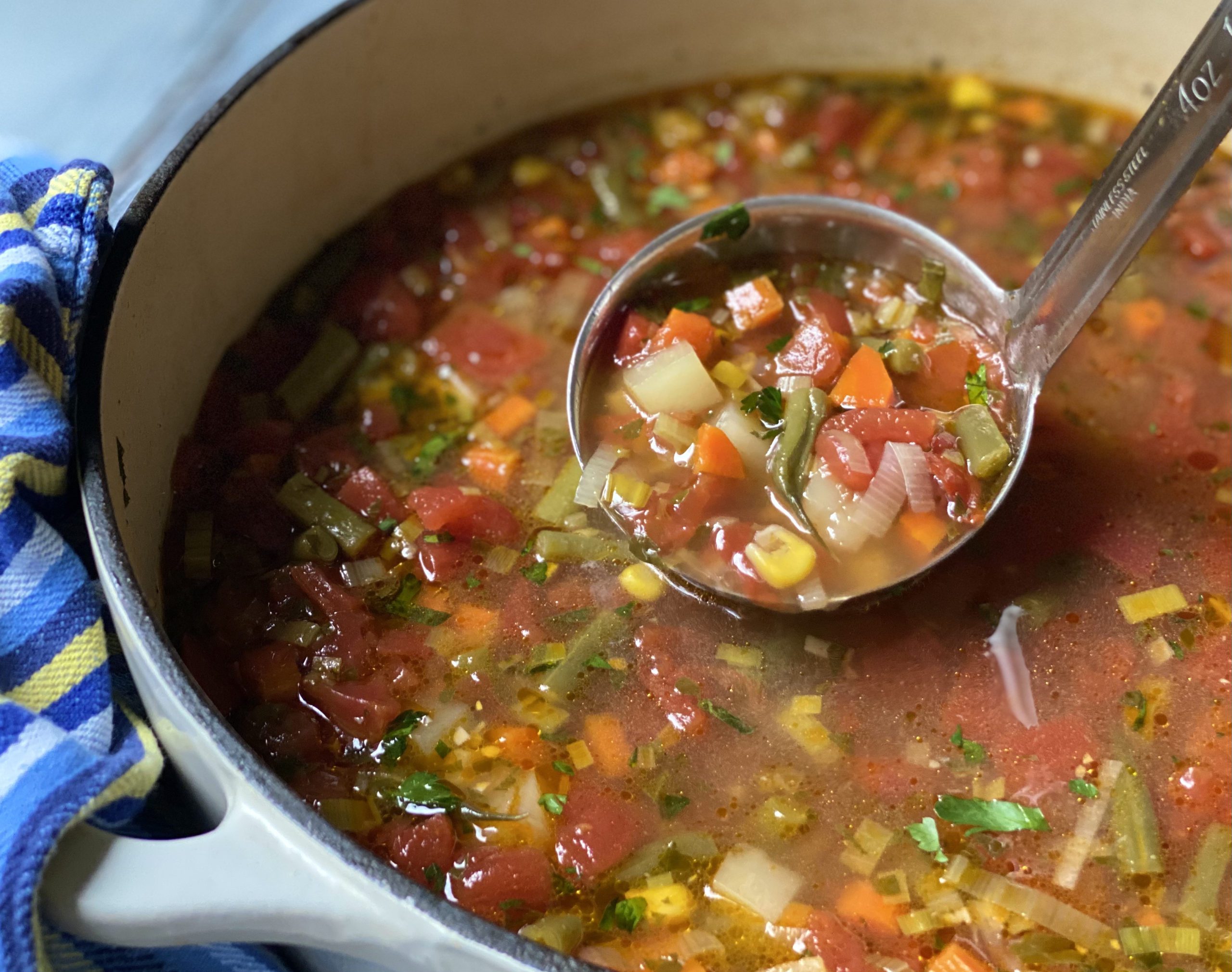 Healthy Garden Vegetable Soup