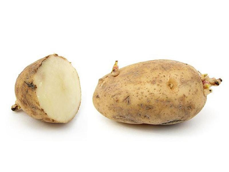 Several raw russet potatoes on a kitchen counter next to a small bowl of salt